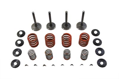 V-Twin 11-0794 - Nitrate Valve and Spring Kit