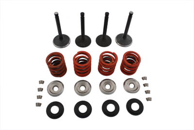 V-Twin 11-0796 - Nitrate Valve and Spring Kit